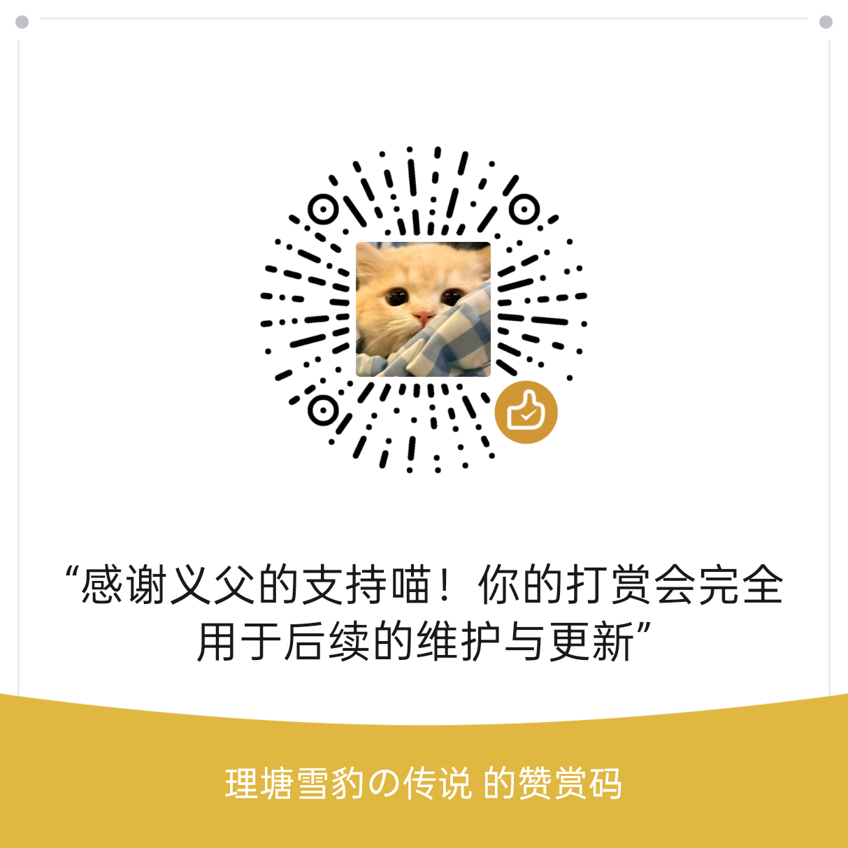支持 SLV 微信赞赏码